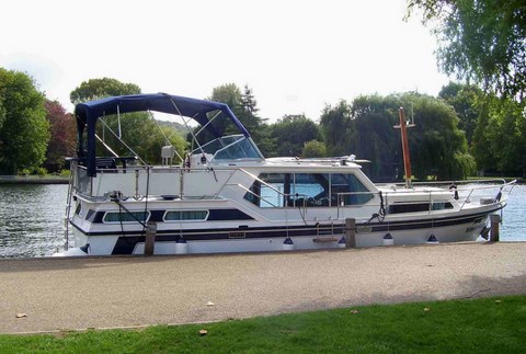 Shared Cruiser Shimmering Steel Picture 2